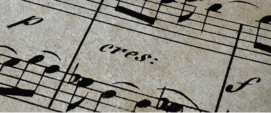 音大受験対策を完結